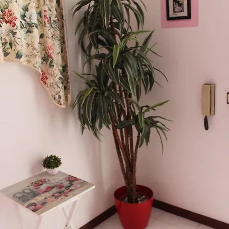 아파트 Naturmar 알부페이라